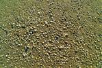 (27) Dscf2297 (shell texture 3).jpg    (1000x667)    558 KB                              click to see enlarged picture